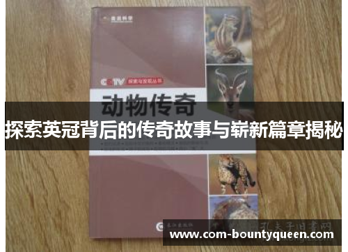 探索英冠背后的传奇故事与崭新篇章揭秘