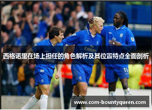 西格诺里在场上担任的角色解析及其位置特点全面剖析